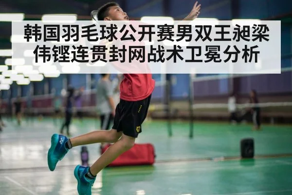 韩国羽毛球公开赛男双王昶梁伟铿连贯封网战术卫冕分析